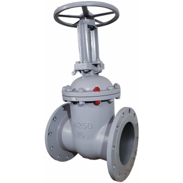 задвижка 31ч6бр Ду250