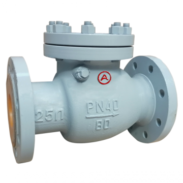 клапан обратный стальной 19с53нж Ру40 Ду50 исп.2